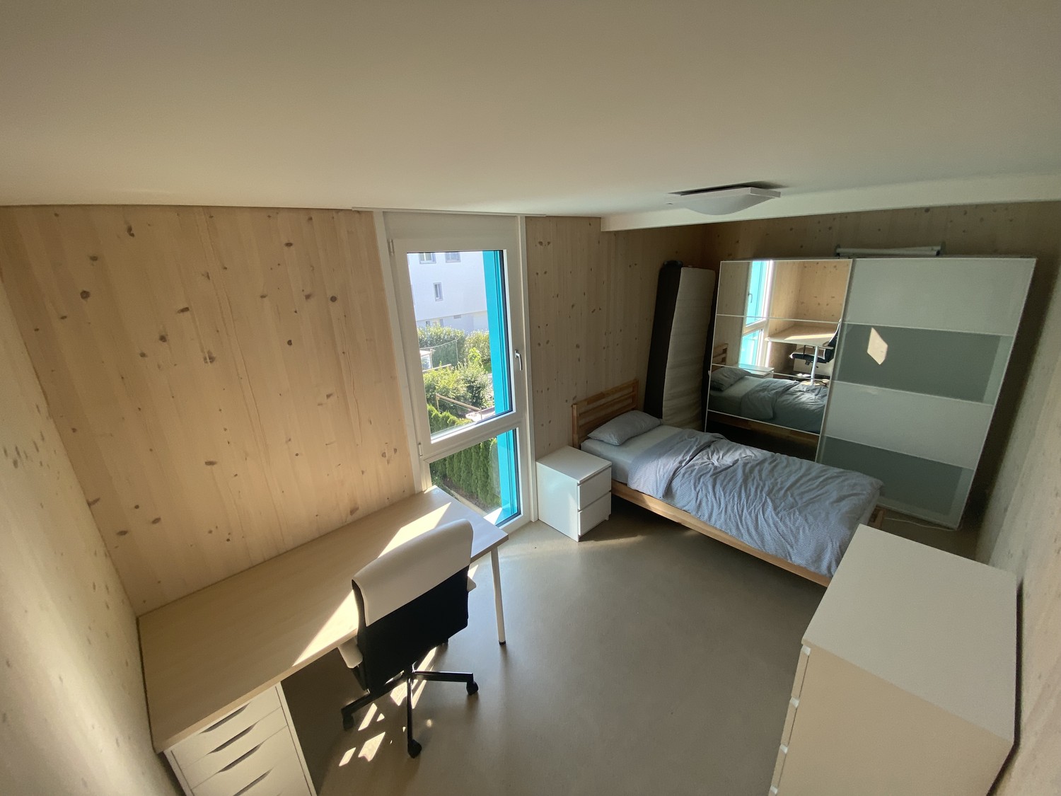 Room in a shared flat