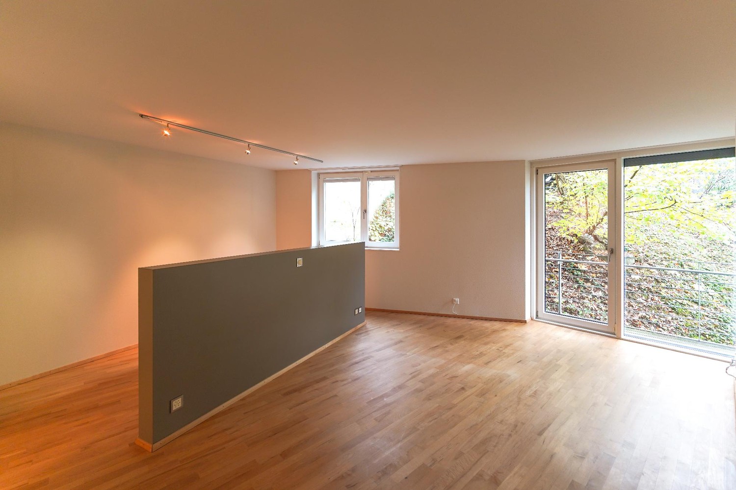 4 ½ room apartment