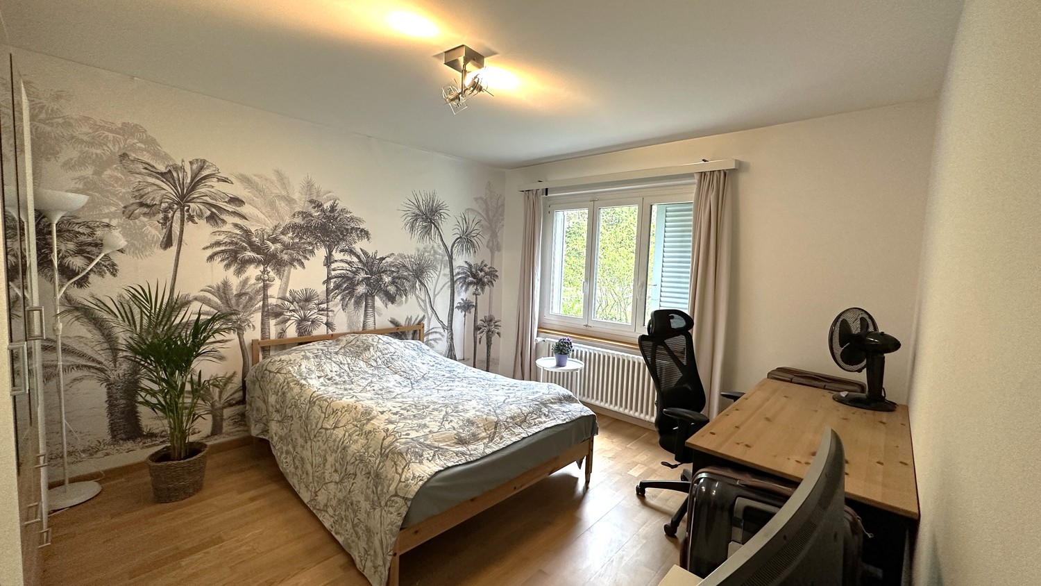 2 rooms apartment