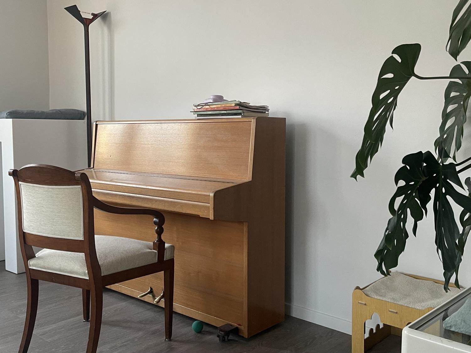 Chambre en colocation