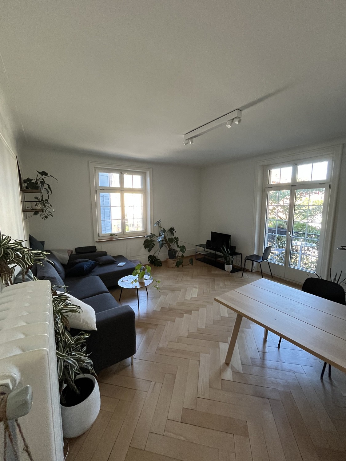 Room in a shared flat