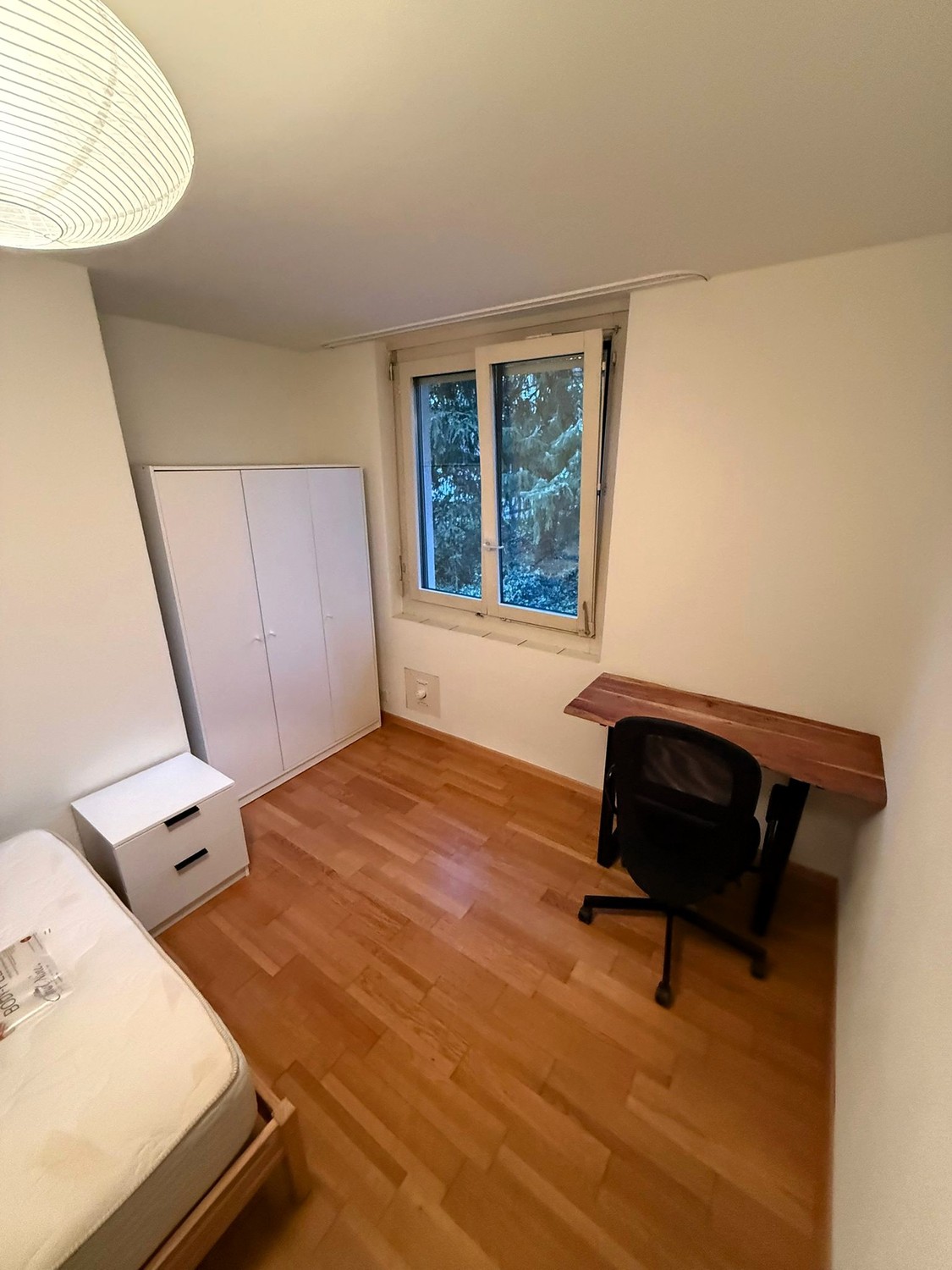 Room in a shared flat