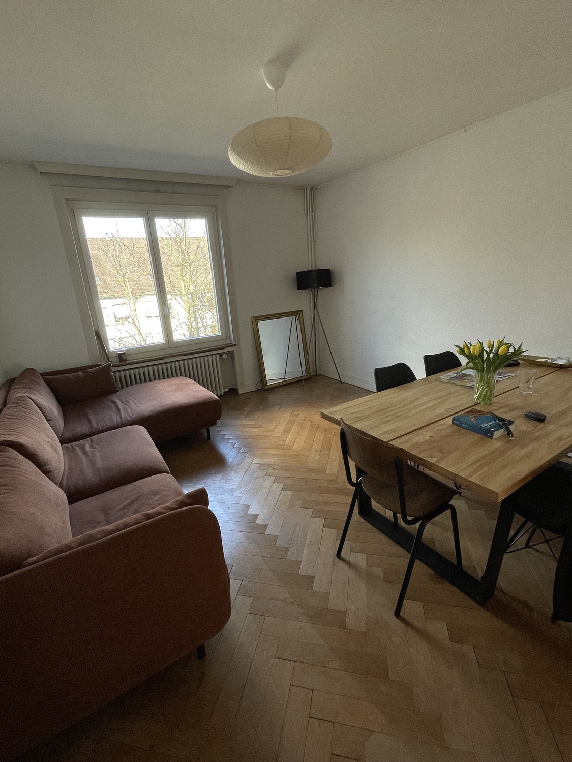 Room in a shared flat