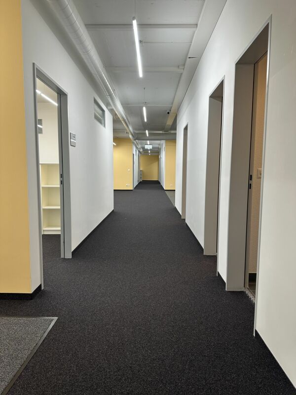 670m² commercial

Office/commercial spaces near Bahnhof Altstetten 

In a central location, we are renting out finished office/commercial areas of approx. 682 m2 (room partitioning possible) immediately or by arrangement. 

Die Hohlstrasse 534/536 is within immediate walking distance to Bahnhof Alts