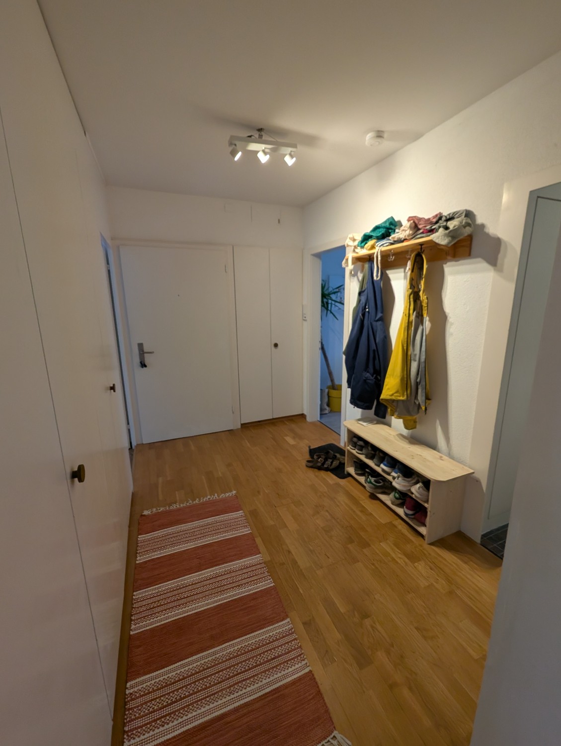 Room in a shared flat