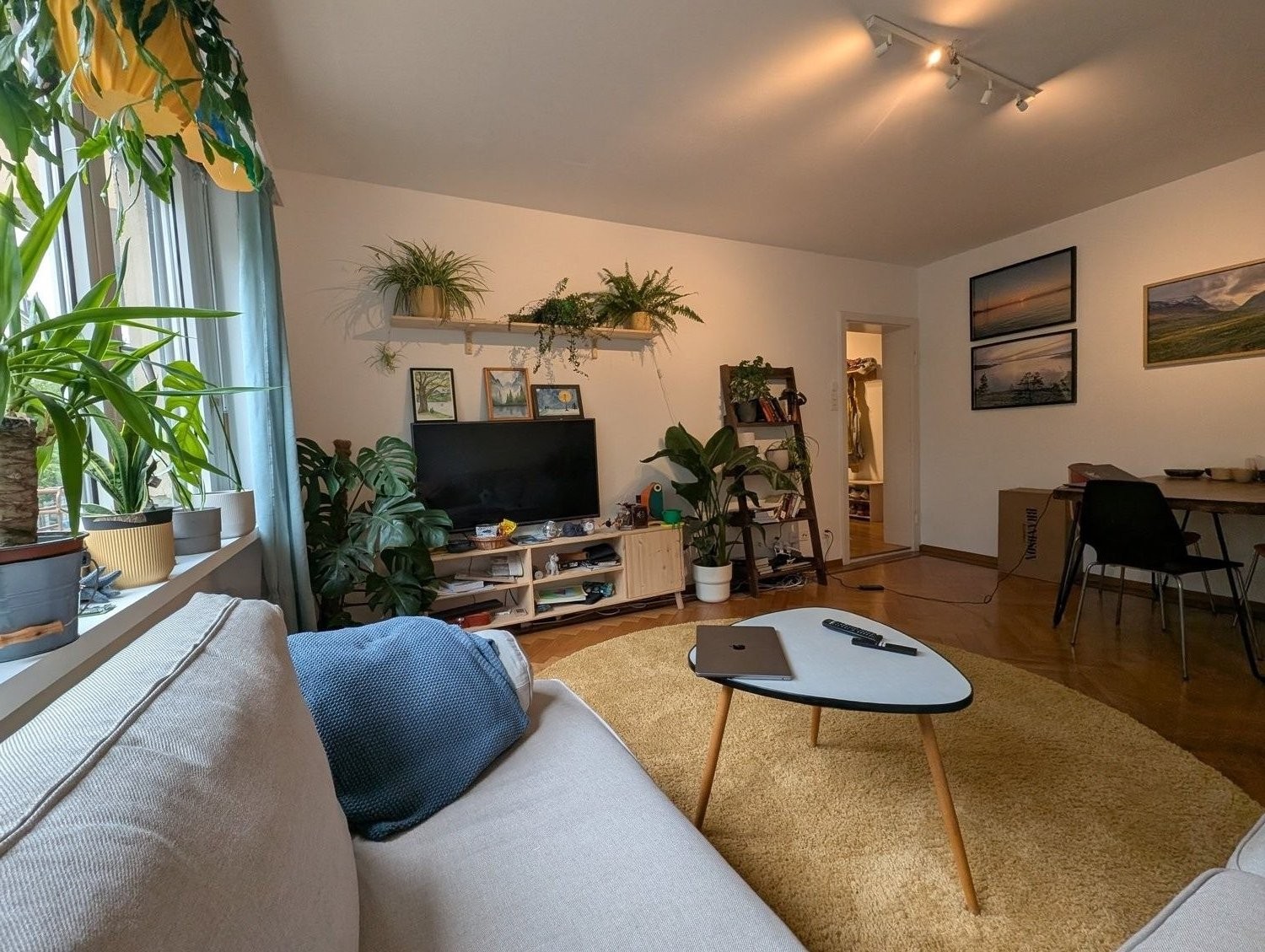 Room in a shared flat