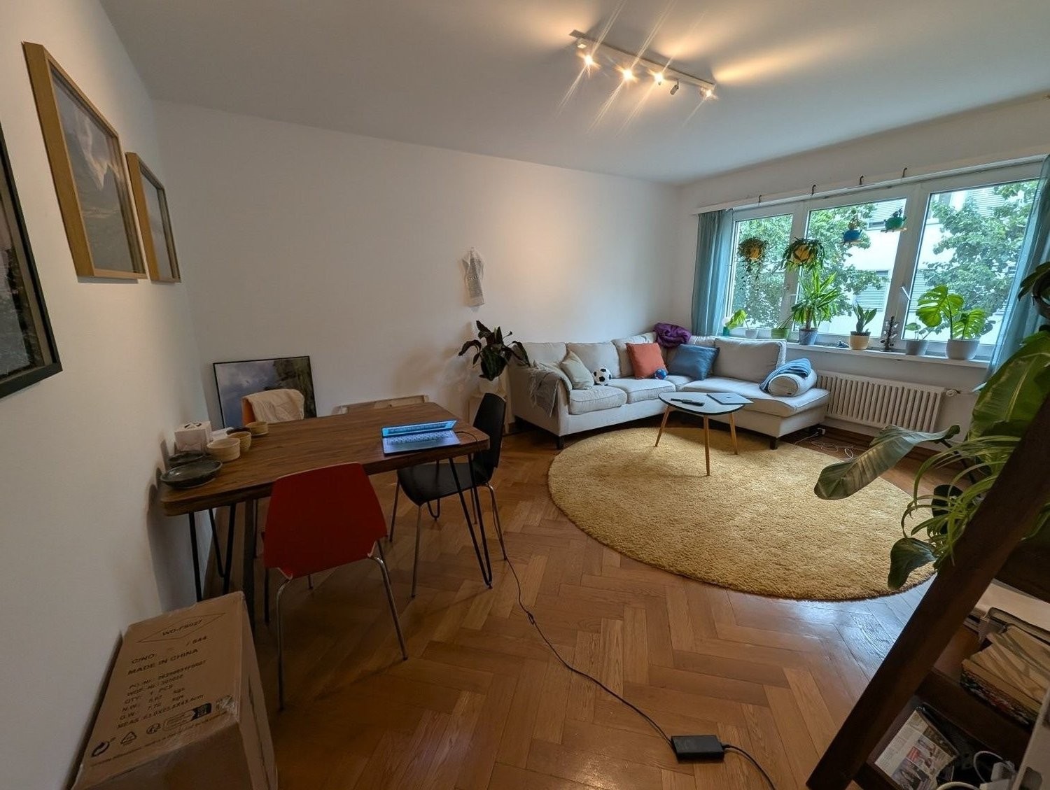 Room in a shared flat