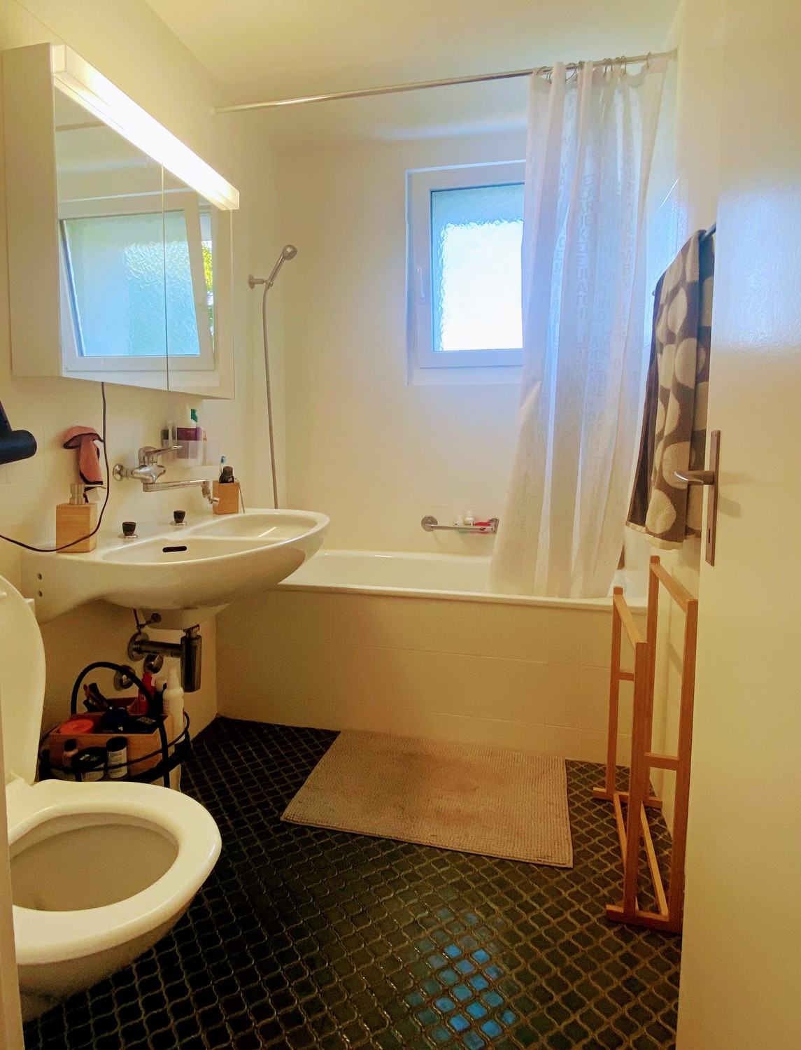 3 ½ Zimmer Wohnung