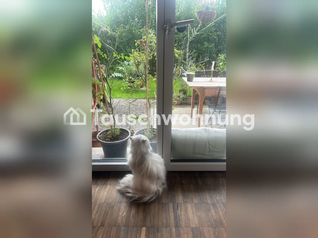 bijoux architettonico di 120mq con giardino di 90mq. L'appartamento dispone di un bellissimo parquet, soffitti alti ed è super luminoso, tranquillo e comunque centrale. Cucina moderna e servizi igienici. Riscaldamento a pavimento. Proprio locale lavanderia nell'appartamento. WC per gli ospiti con do