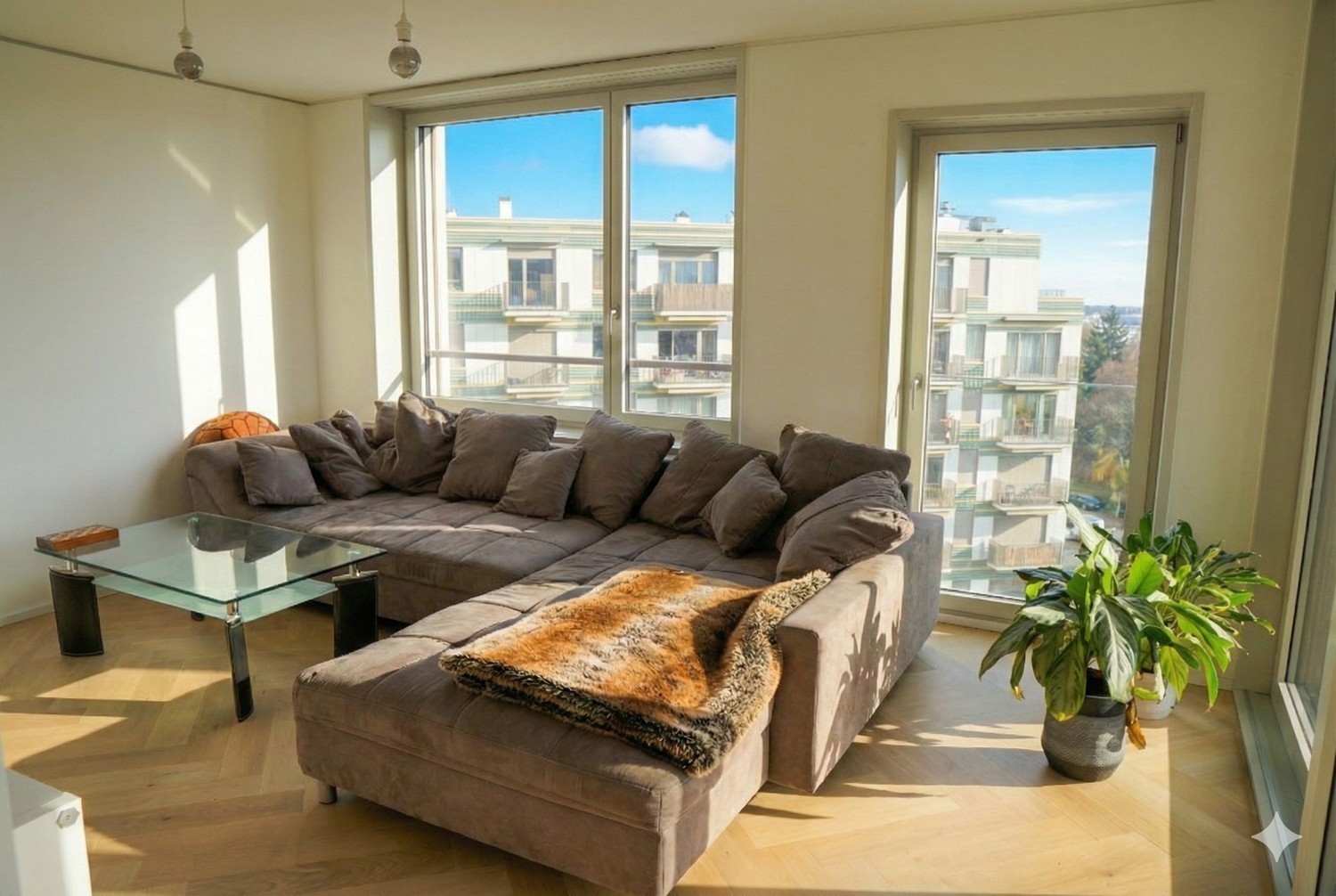 Room in a shared flat