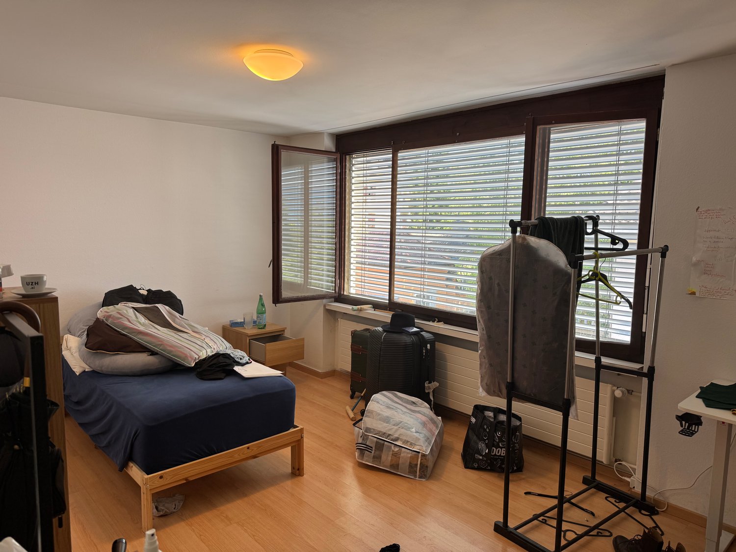 Room in a shared flat
