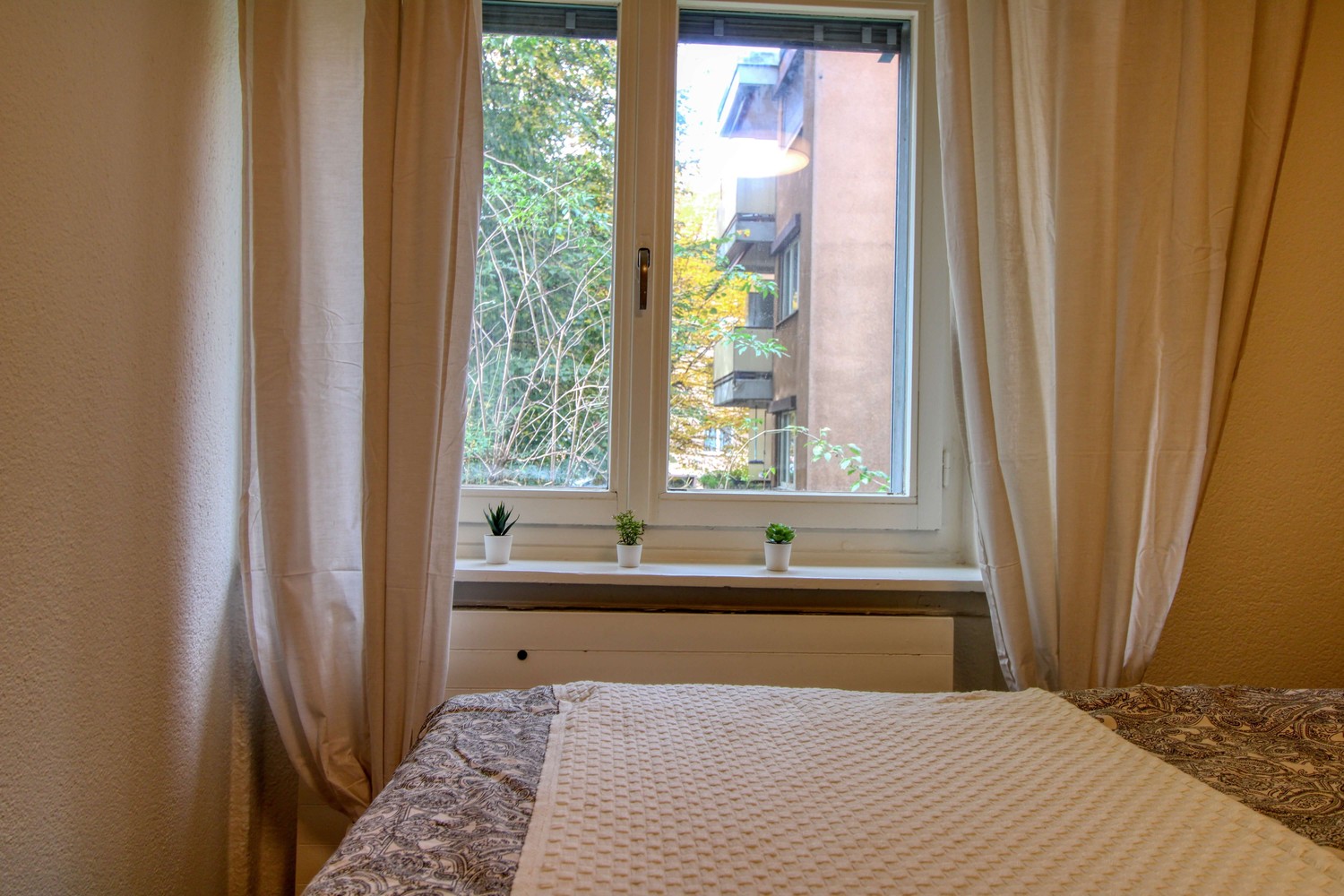 Room in a shared flat