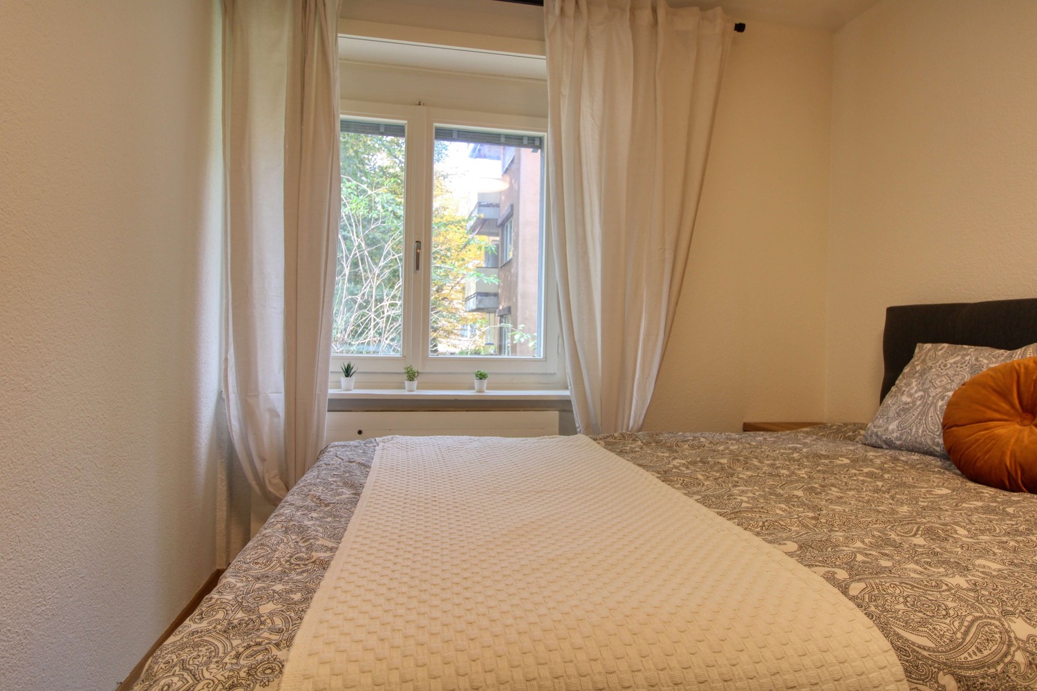 Room in a shared flat