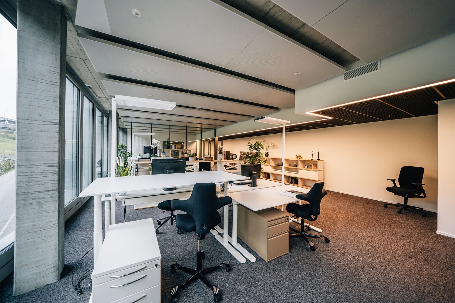 460m² commercial