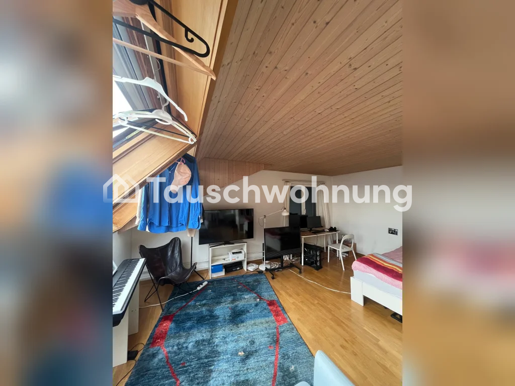 2 ½ locali appartamento in mansarda