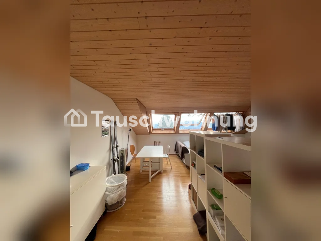 2 ½ locali appartamento in mansarda