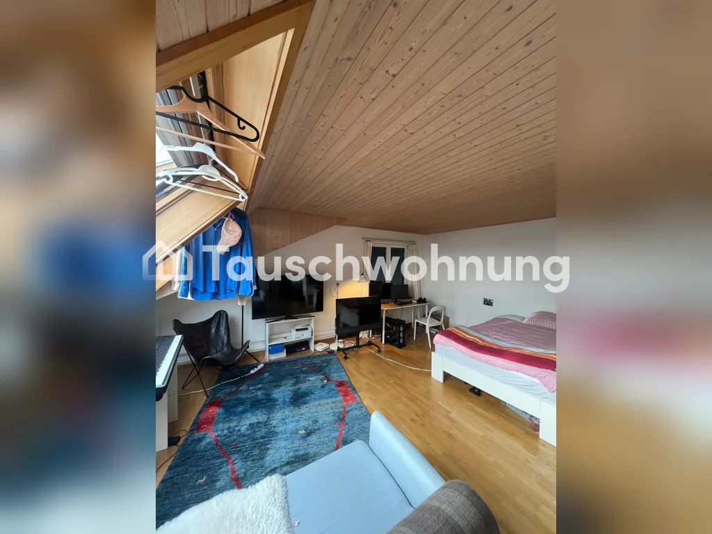 2 ½ locali appartamento in mansarda