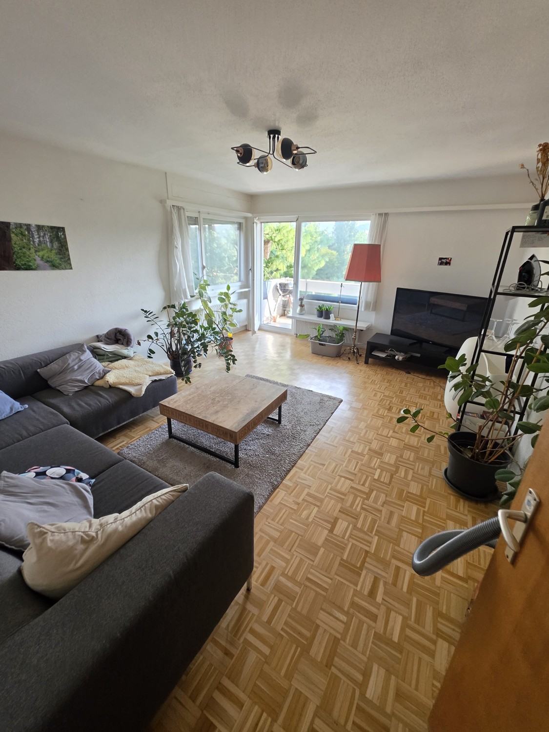 Room in a shared flat