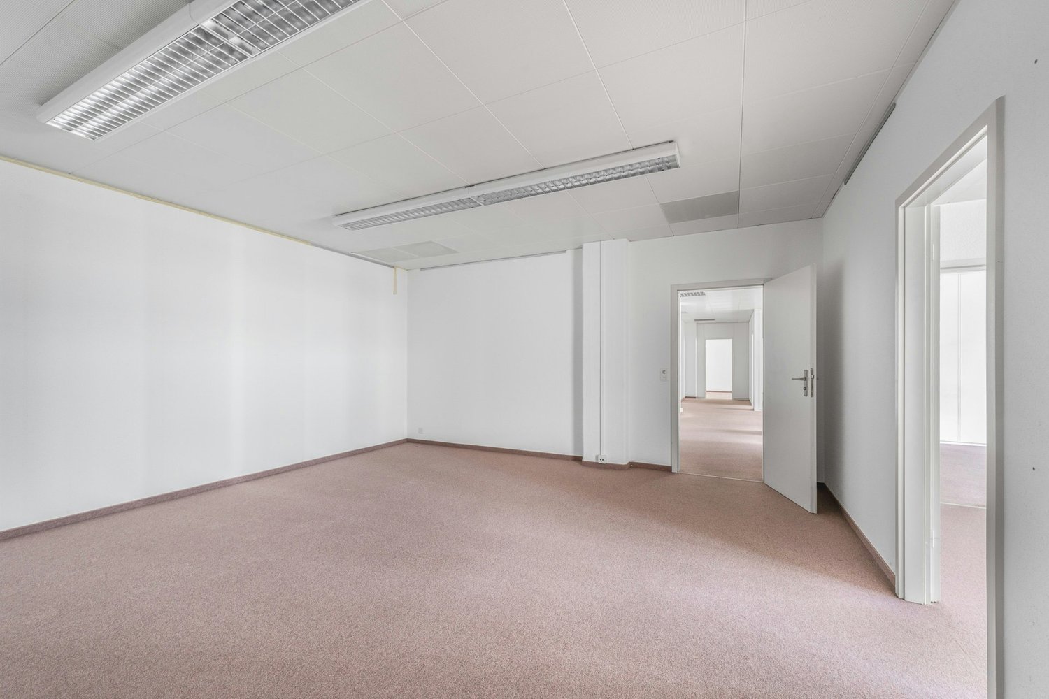 291m² commercial