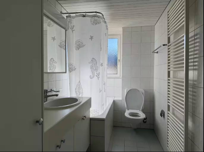 Room in a shared flat