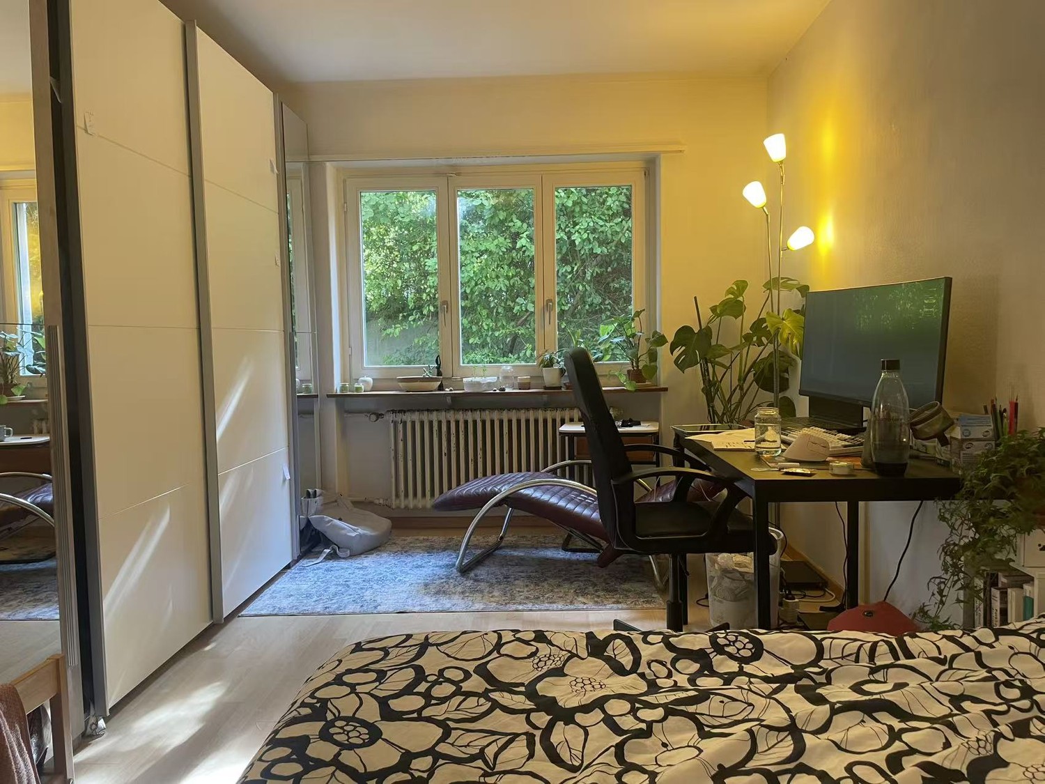 Room in a shared flat