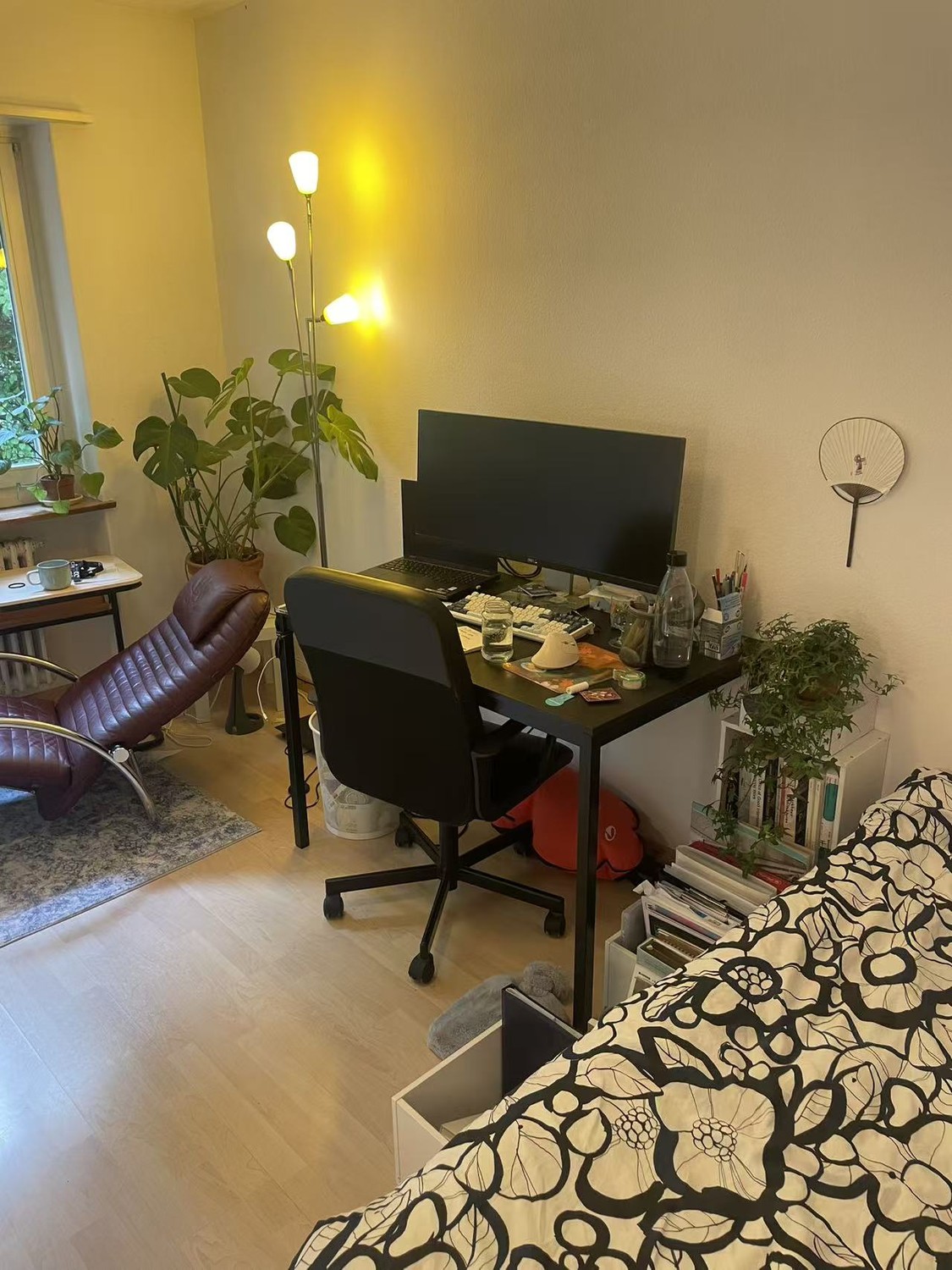 Room in a shared flat