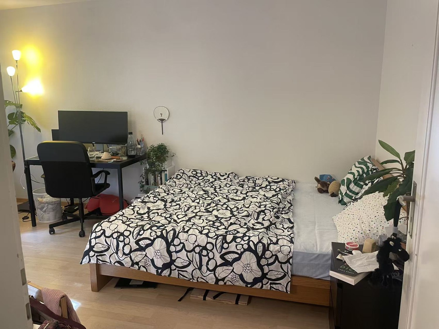 Room in a shared flat