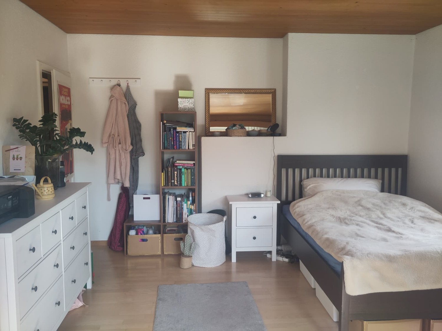 Room in a shared flat