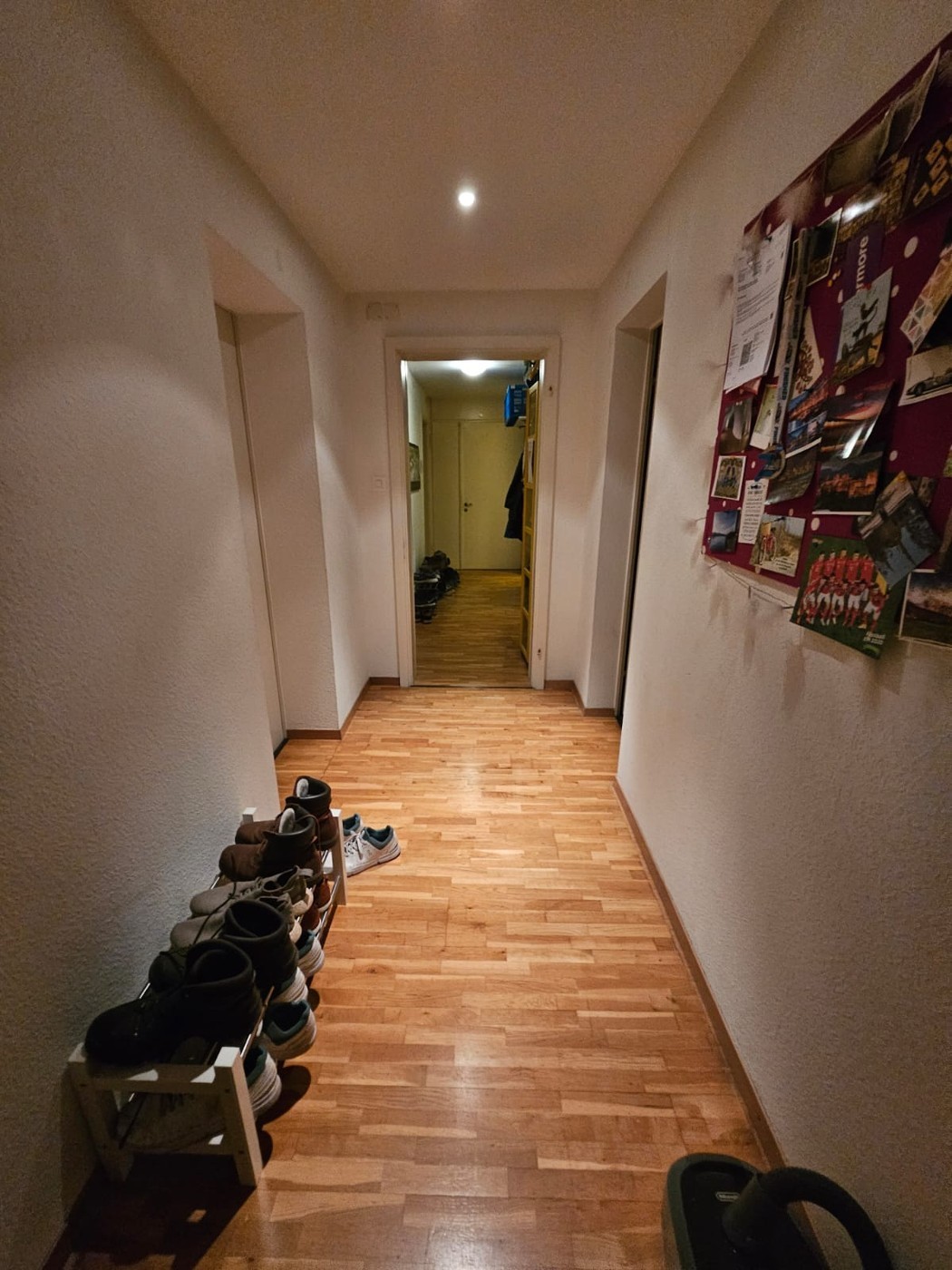 Room in a shared flat