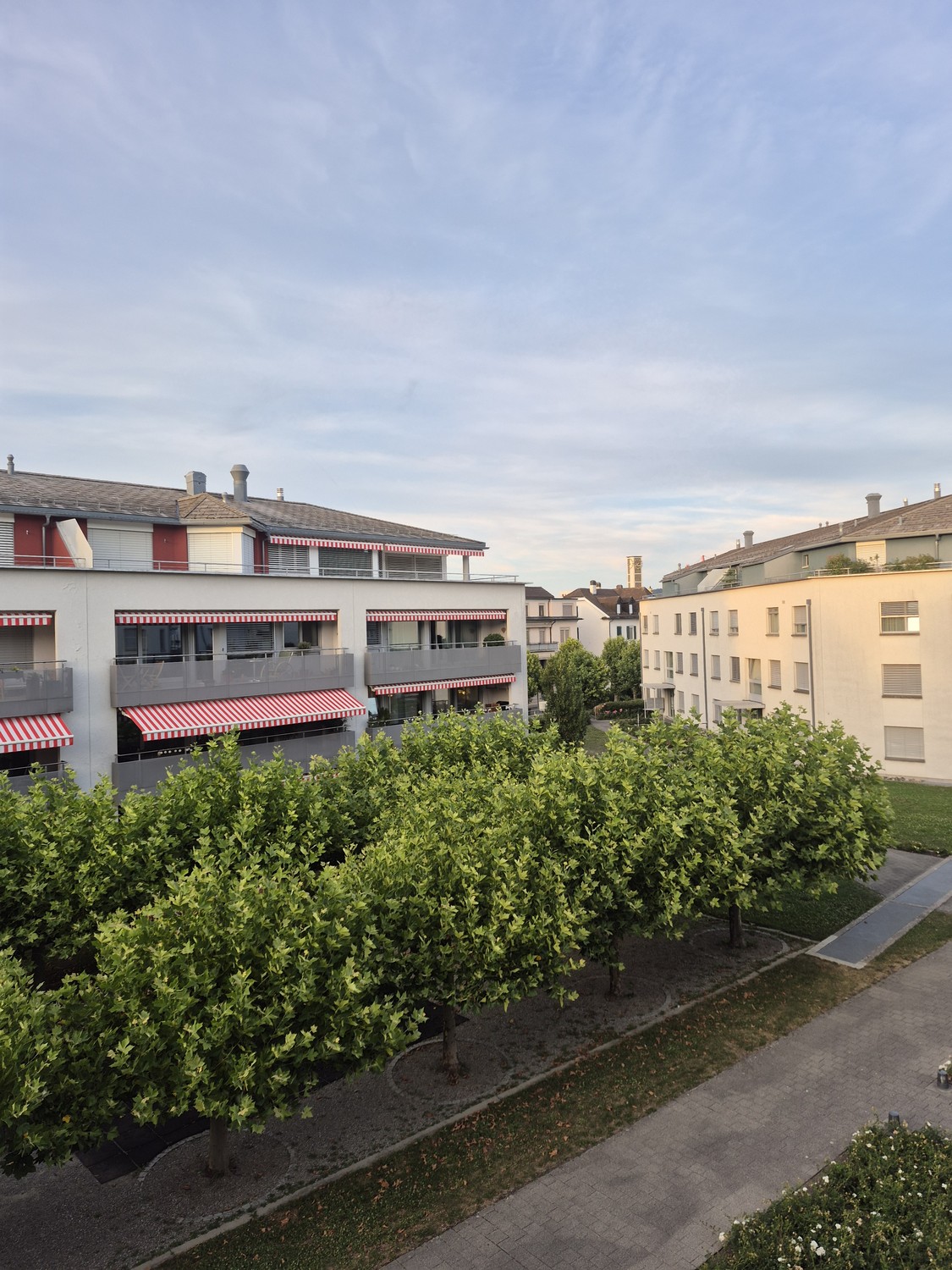 Chambre en colocation