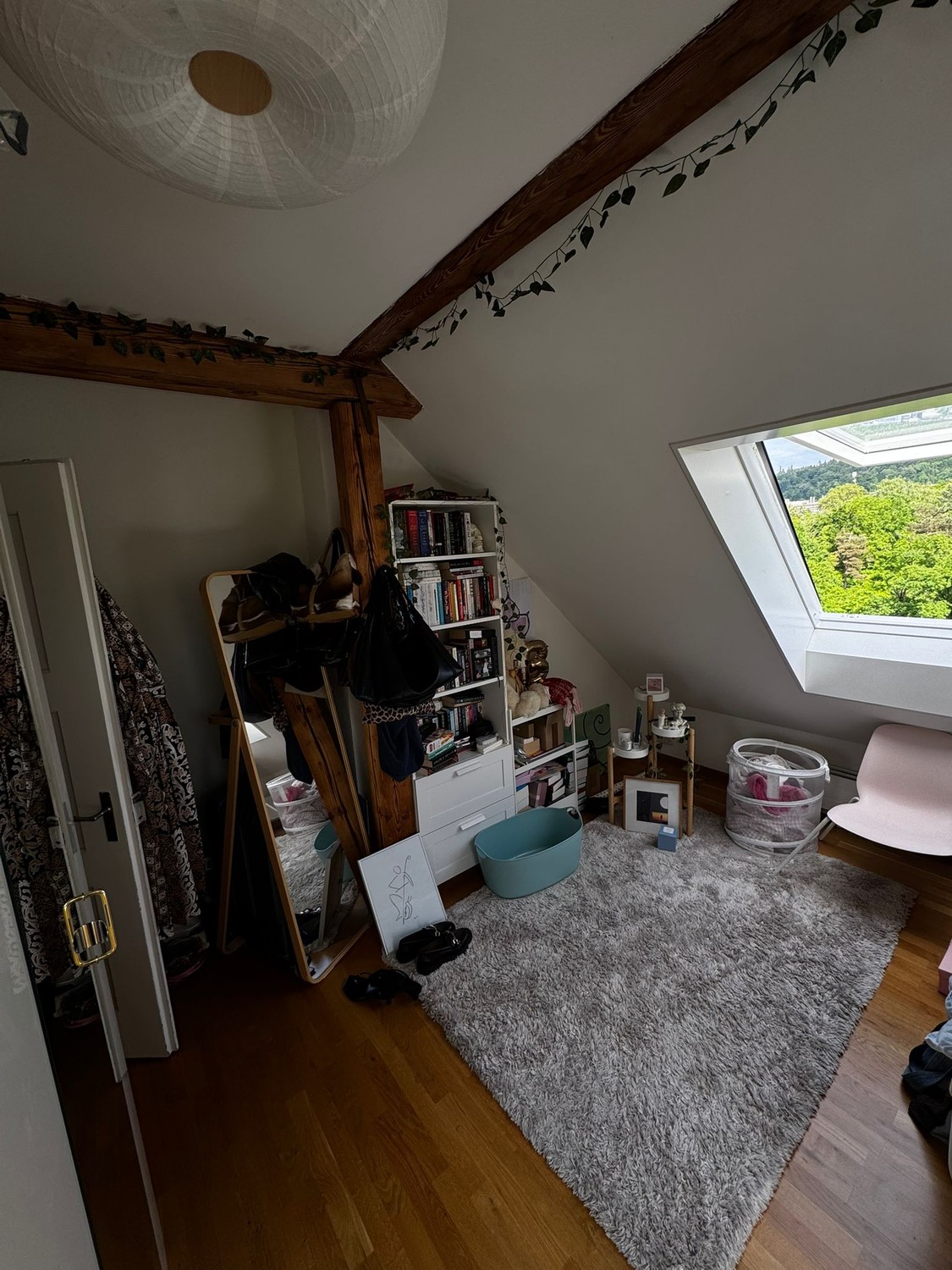 Room in a shared flat