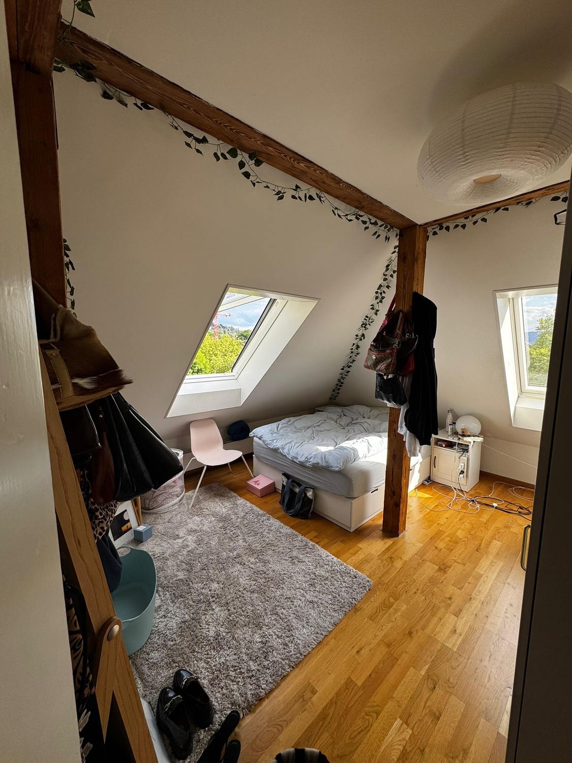 Room in a shared flat