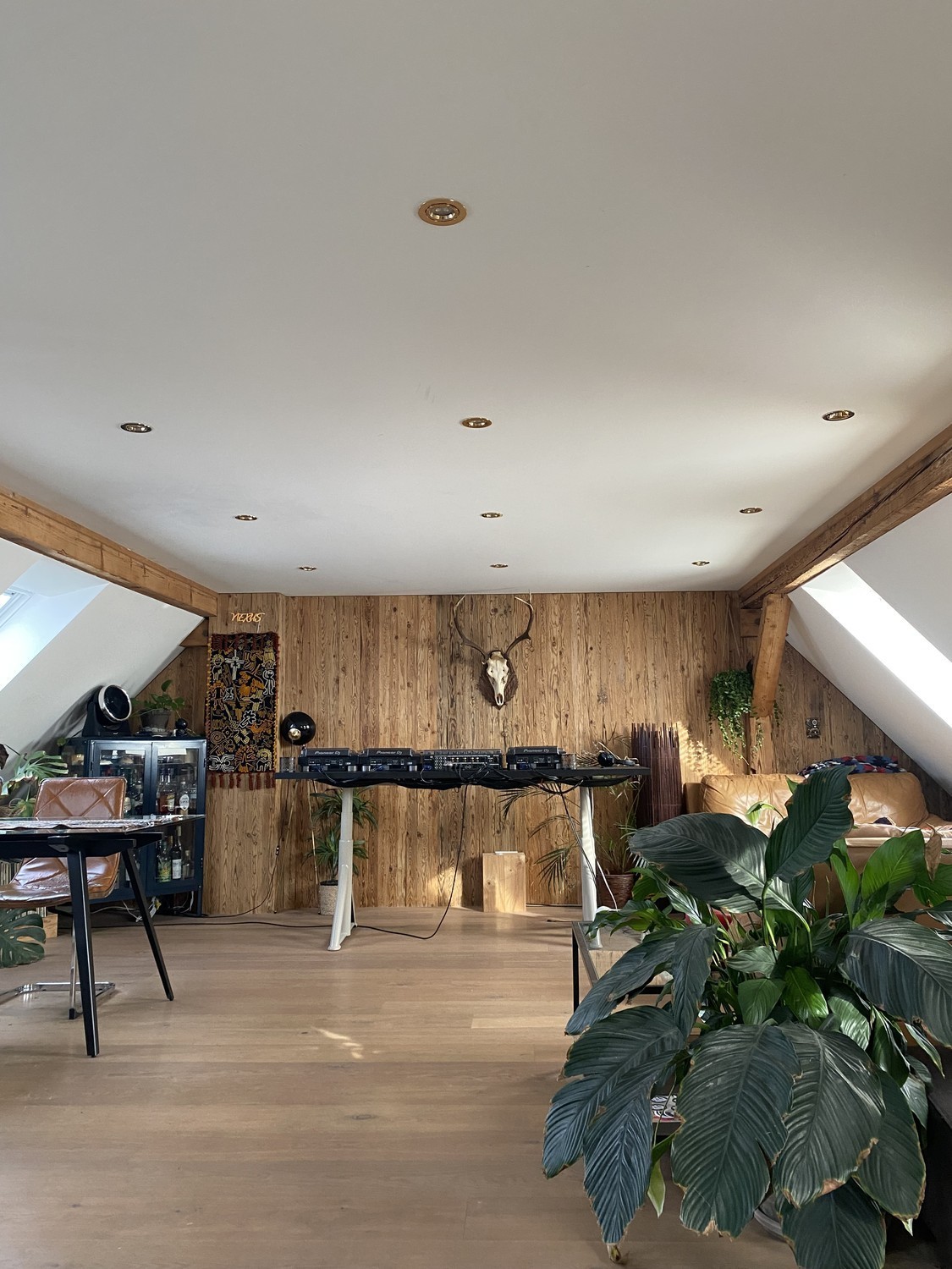 Room in a shared flat